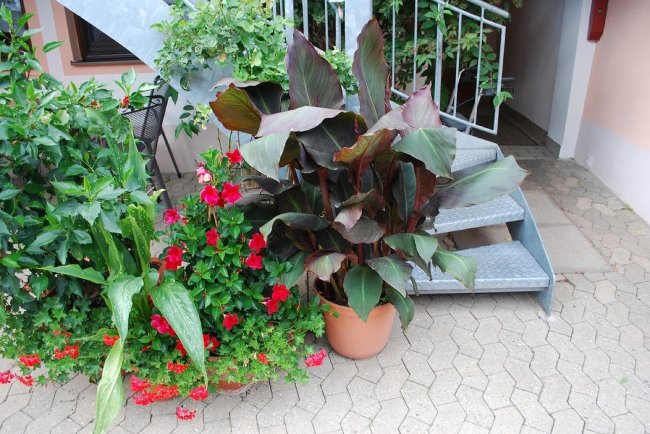 Ferienhaus Teubner Merkendorf  Ngoại thất bức ảnh